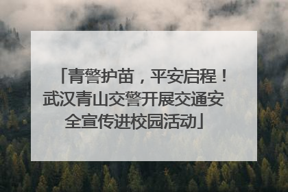 青警护苗，平安启程！武汉青山交警开展交通安全宣传进校园活动
